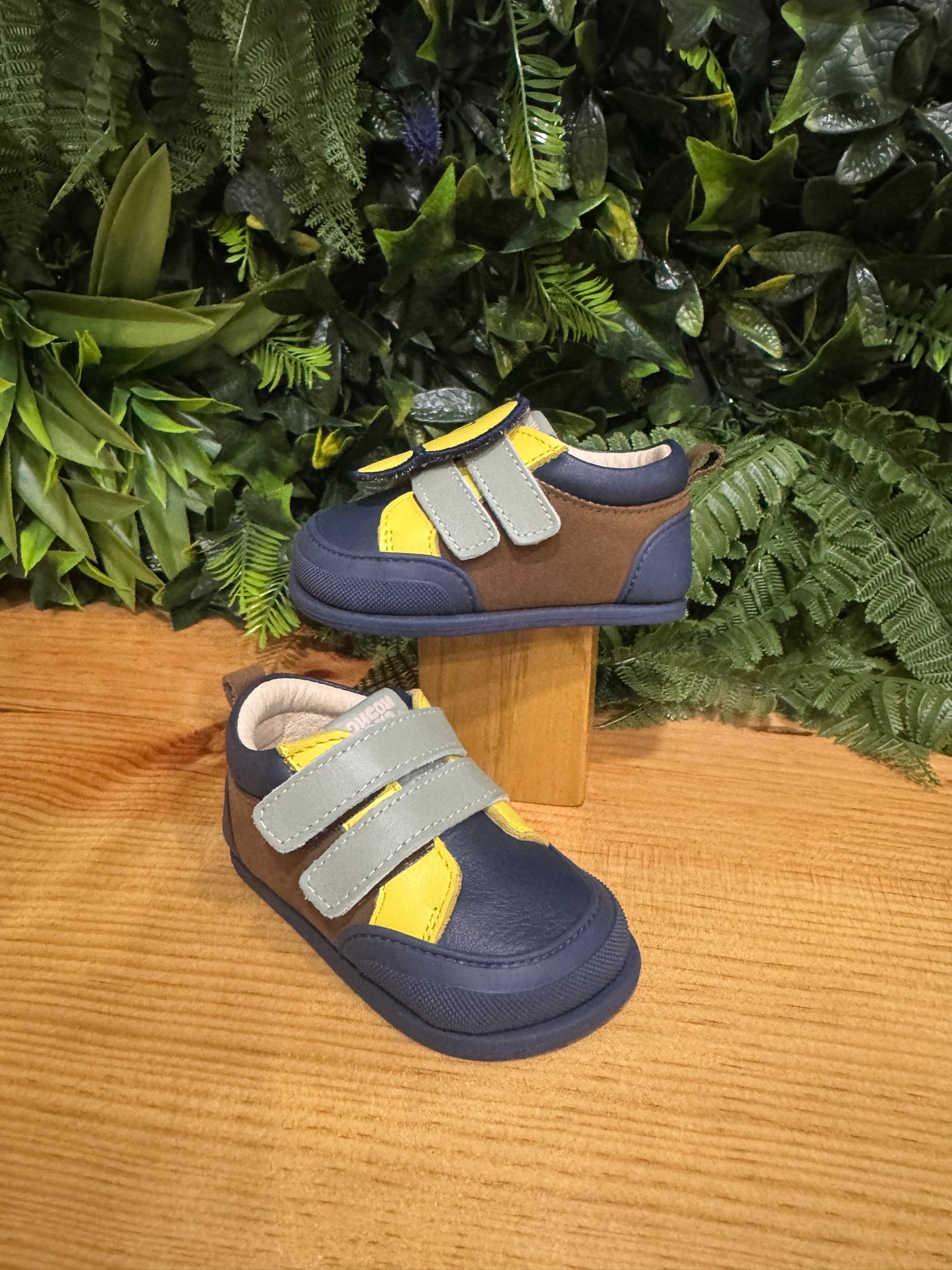Coucouçava - Rookie Multicolor Azul